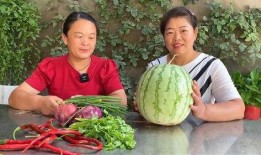 吃瓜前线第一人 今日吃瓜热门大瓜必看大瓜网红,今日热门大瓜，网红瓜王带你一网打尽